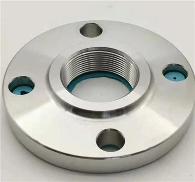 Flanse din titan Gr2